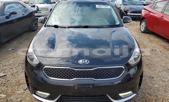 Buy New Kia Niro Black Car in Badagry in Lagos State