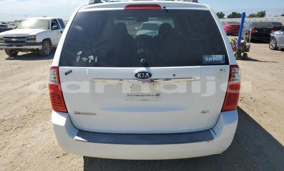 Acheter Neuf Voiture Kia Sedona Blanc à Badagry, État de Lagos Acheter Neuf Voiture Kia Sedona Blanc à Badagry, État de Lagos
