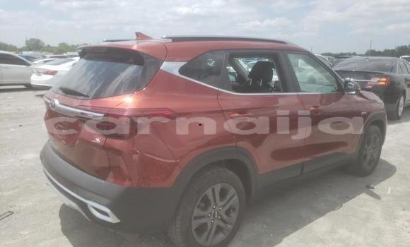 Acheter Neuf Voiture Kia Sportage Autre à Badagry, État de Lagos Acheter Neuf Voiture Kia Sportage Autre à Badagry, État de Lagos
