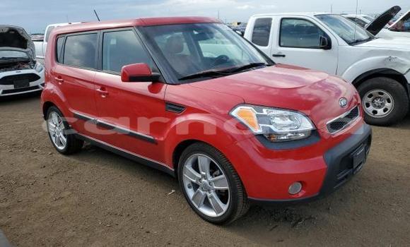 Buy New Kia Soul Red Car in Badagry in Lagos State Buy New Kia Soul Red Car in Badagry in Lagos State