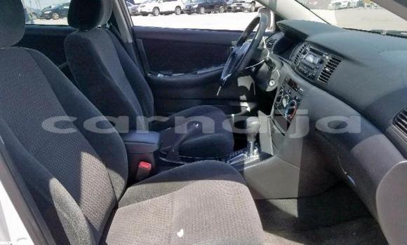 Acheter Occasion Voiture Toyota Corolla Blanc à Daura, Katsina Acheter Occasion Voiture Toyota Corolla Blanc à Daura, Katsina