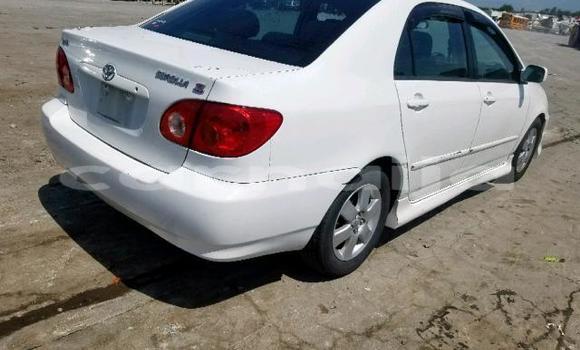 Acheter Occasion Voiture Toyota Corolla Blanc à Daura, Katsina Acheter Occasion Voiture Toyota Corolla Blanc à Daura, Katsina
