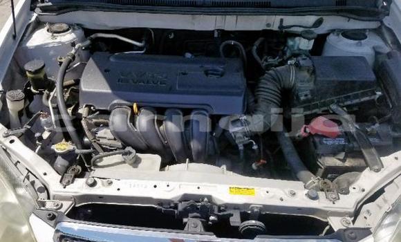 Acheter Occasion Voiture Toyota Corolla Blanc à Daura, Katsina Acheter Occasion Voiture Toyota Corolla Blanc à Daura, Katsina