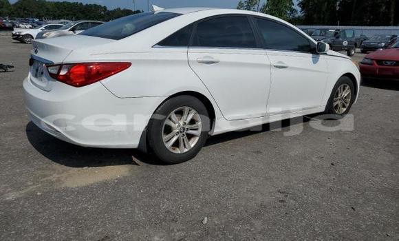 Acheter Neuf Voiture Hyundai Sonata Blanc à Badagry, État de Lagos Acheter Neuf Voiture Hyundai Sonata Blanc à Badagry, État de Lagos