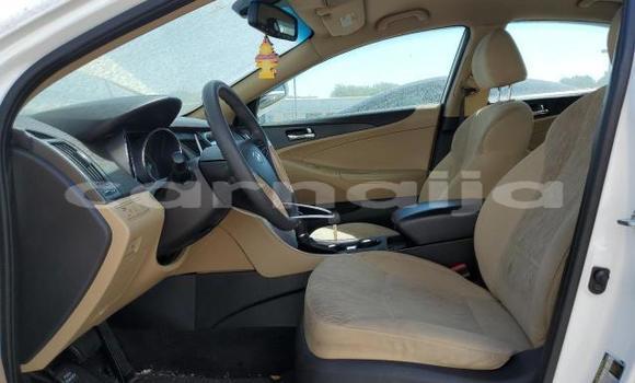 Acheter Neuf Voiture Hyundai Sonata Blanc à Badagry, État de Lagos Acheter Neuf Voiture Hyundai Sonata Blanc à Badagry, État de Lagos