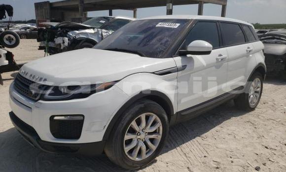 Acheter Neuf Voiture Land Rover Range Rover Evoque Blanc à Badagry, État de Lagos Acheter Neuf Voiture Land Rover Range Rover Evoque Blanc à Badagry, État de Lagos