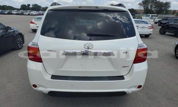 Buy New Toyota Highlander White Car in Badagry in Lagos State Buy New Toyota Highlander White Car in Badagry in Lagos State