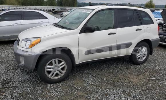 Buy New Toyota RAV4 White Car in Badagry in Lagos State Buy New Toyota RAV4 White Car in Badagry in Lagos State