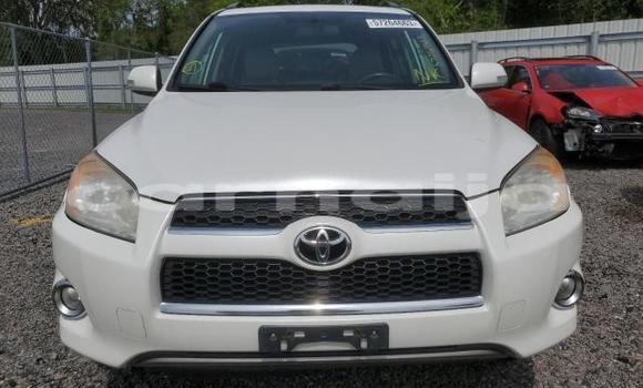 Buy New Toyota RAV4 White Car in Badagry in Lagos State