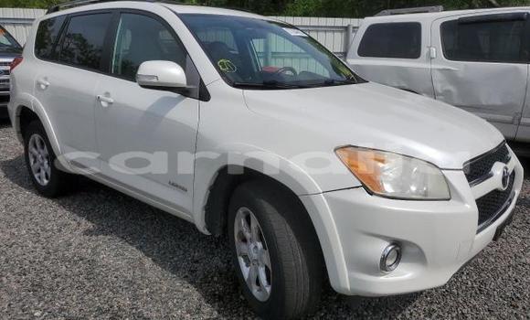 Acheter Neuf Voiture Toyota RAV4 Blanc à Badagry, État de Lagos Acheter Neuf Voiture Toyota RAV4 Blanc à Badagry, État de Lagos