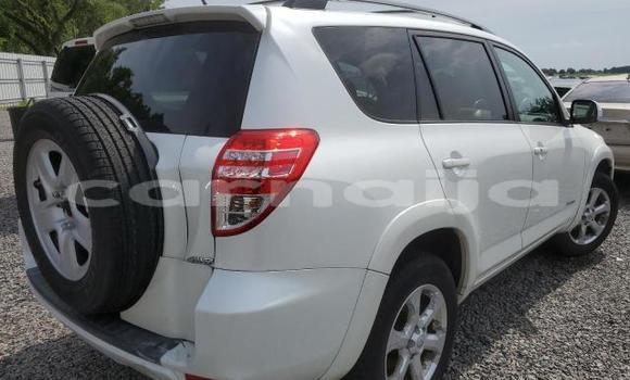 Acheter Neuf Voiture Toyota RAV4 Blanc à Badagry, État de Lagos Acheter Neuf Voiture Toyota RAV4 Blanc à Badagry, État de Lagos