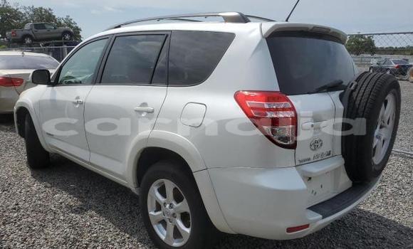 Acheter Neuf Voiture Toyota RAV4 Blanc à Badagry, État de Lagos Acheter Neuf Voiture Toyota RAV4 Blanc à Badagry, État de Lagos