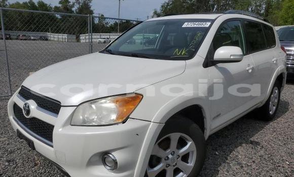Acheter Neuf Voiture Toyota RAV4 Blanc à Badagry, État de Lagos Acheter Neuf Voiture Toyota RAV4 Blanc à Badagry, État de Lagos
