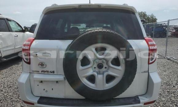 Acheter Neuf Voiture Toyota RAV4 Blanc à Badagry, État de Lagos Acheter Neuf Voiture Toyota RAV4 Blanc à Badagry, État de Lagos