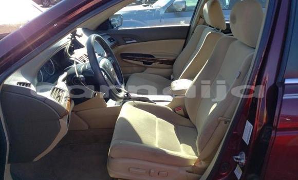 Acheter Neuf Voiture Honda Accord Rouge à Badagry, État de Lagos Acheter Neuf Voiture Honda Accord Rouge à Badagry, État de Lagos