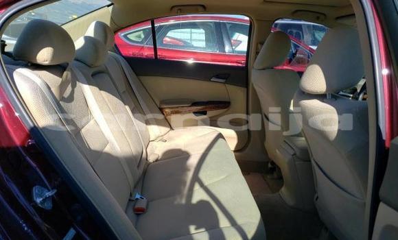 Acheter Neuf Voiture Honda Accord Rouge à Badagry, État de Lagos Acheter Neuf Voiture Honda Accord Rouge à Badagry, État de Lagos