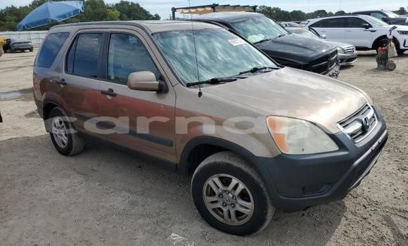Acheter Neuf Voiture Honda CR–V Marron à Badagry, État de Lagos Acheter Neuf Voiture Honda CR–V Marron à Badagry, État de Lagos