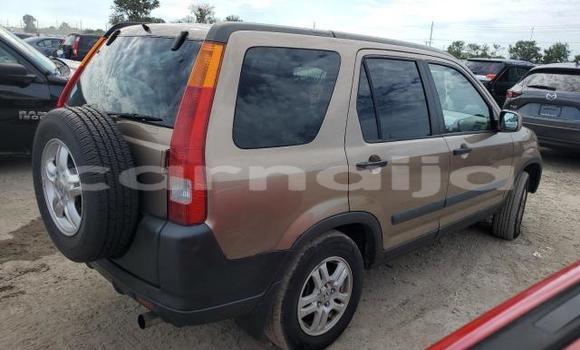 Acheter Neuf Voiture Honda CR–V Marron à Badagry, État de Lagos Acheter Neuf Voiture Honda CR–V Marron à Badagry, État de Lagos