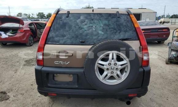 Acheter Neuf Voiture Honda CR–V Marron à Badagry, État de Lagos Acheter Neuf Voiture Honda CR–V Marron à Badagry, État de Lagos