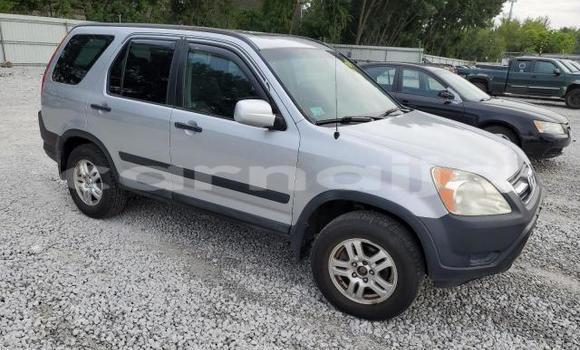 Acheter Neuf Voiture Honda CR–V Gris à Badagry, État de Lagos Acheter Neuf Voiture Honda CR–V Gris à Badagry, État de Lagos