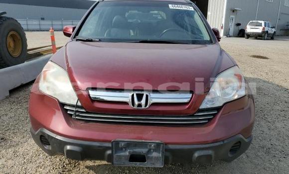 Acheter Neuf Voiture Honda CR–V Rouge à Badagry, État de Lagos Acheter Neuf Voiture Honda CR–V Rouge à Badagry, État de Lagos