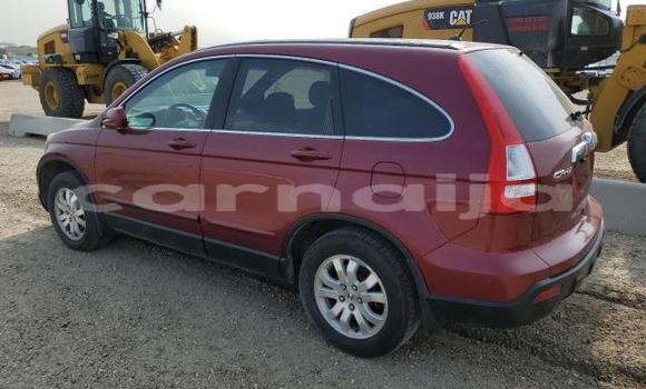 Buy New Honda CR–V Red Car in Badagry in Lagos State Buy New Honda CR–V Red Car in Badagry in Lagos State