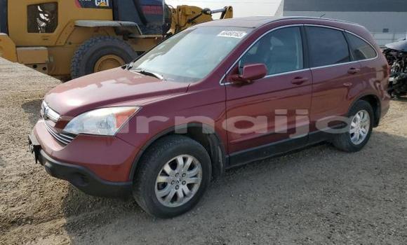 Buy New Honda CR–V Red Car in Badagry in Lagos State Buy New Honda CR–V Red Car in Badagry in Lagos State