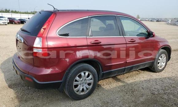 Buy New Honda CR–V Red Car in Badagry in Lagos State Buy New Honda CR–V Red Car in Badagry in Lagos State
