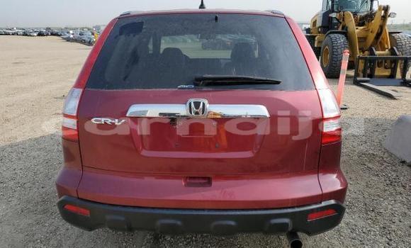 Buy New Honda CR–V Red Car in Badagry in Lagos State Buy New Honda CR–V Red Car in Badagry in Lagos State