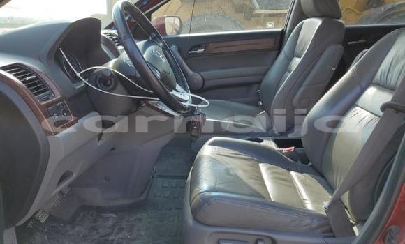 Buy New Honda CR–V Red Car in Badagry in Lagos State Buy New Honda CR–V Red Car in Badagry in Lagos State