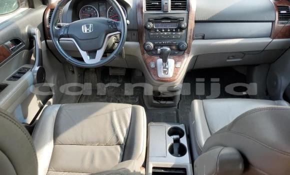 Buy New Honda CR–V Red Car in Badagry in Lagos State Buy New Honda CR–V Red Car in Badagry in Lagos State