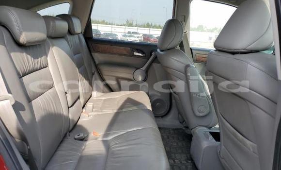 Buy New Honda CR–V Red Car in Badagry in Lagos State Buy New Honda CR–V Red Car in Badagry in Lagos State