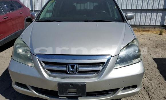 Buy New Honda Odyssey Silver Car in Badagry in Lagos State