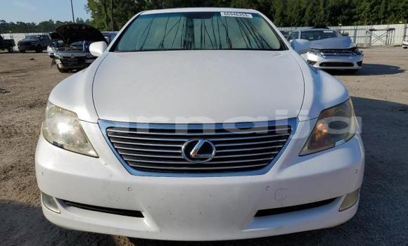 Acheter Neuf Voiture Lexus LS Blanc à Badagry, État de Lagos Acheter Neuf Voiture Lexus LS Blanc à Badagry, État de Lagos