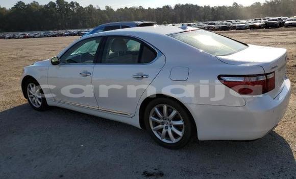 Acheter Neuf Voiture Lexus LS Blanc à Badagry, État de Lagos Acheter Neuf Voiture Lexus LS Blanc à Badagry, État de Lagos