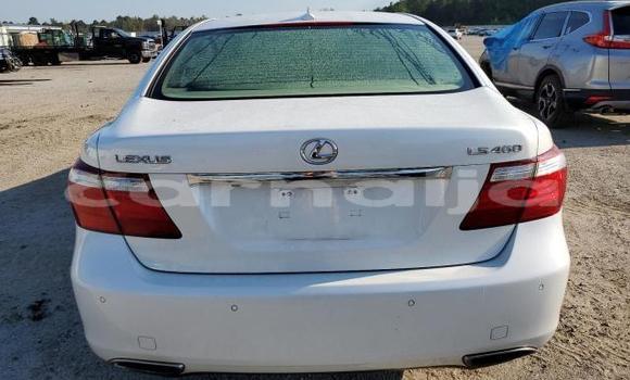 Acheter Neuf Voiture Lexus LS Blanc à Badagry, État de Lagos Acheter Neuf Voiture Lexus LS Blanc à Badagry, État de Lagos