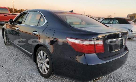 Buy New Lexus LS Black Car in Badagry in Lagos State Buy New Lexus LS Black Car in Badagry in Lagos State