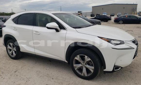 Acheter Neuf Voiture Lexus NX Blanc à Badagry, État de Lagos Acheter Neuf Voiture Lexus NX Blanc à Badagry, État de Lagos