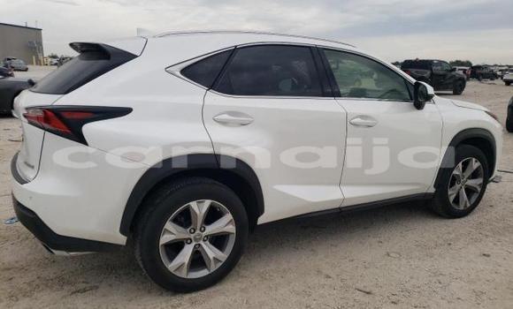 Acheter Neuf Voiture Lexus NX Blanc à Badagry, État de Lagos Acheter Neuf Voiture Lexus NX Blanc à Badagry, État de Lagos