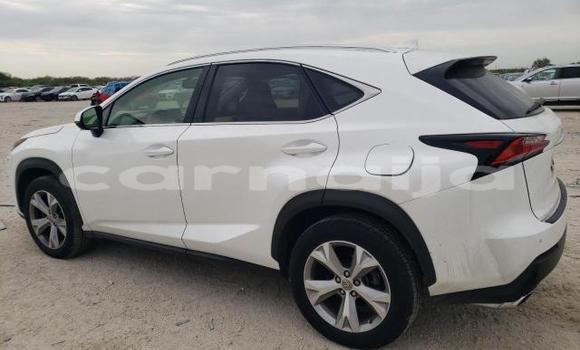 Acheter Neuf Voiture Lexus NX Blanc à Badagry, État de Lagos Acheter Neuf Voiture Lexus NX Blanc à Badagry, État de Lagos