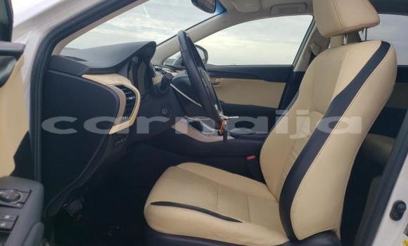 Acheter Neuf Voiture Lexus NX Blanc à Badagry, État de Lagos Acheter Neuf Voiture Lexus NX Blanc à Badagry, État de Lagos