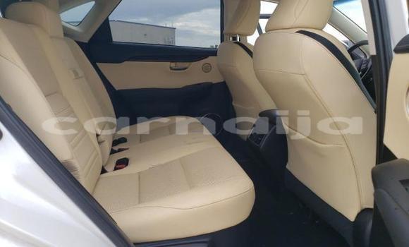 Acheter Neuf Voiture Lexus NX Blanc à Badagry, État de Lagos Acheter Neuf Voiture Lexus NX Blanc à Badagry, État de Lagos