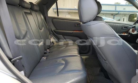 Acheter Neuf Voiture Lexus RX 300 Gris à Badagry, État de Lagos Acheter Neuf Voiture Lexus RX 300 Gris à Badagry, État de Lagos