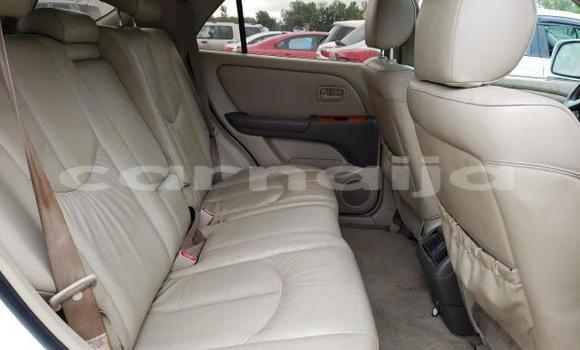 Acheter Neuf Voiture Lexus RX 300 Blanc à Badagry, État de Lagos Acheter Neuf Voiture Lexus RX 300 Blanc à Badagry, État de Lagos