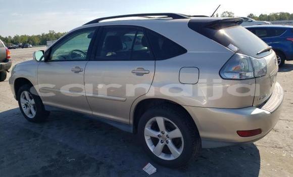Acheter Neuf Voiture Lexus RX 300 Beige à Badagry, État de Lagos Acheter Neuf Voiture Lexus RX 300 Beige à Badagry, État de Lagos