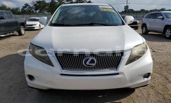 Buy New Lexus RX White Car in Badagry in Lagos State