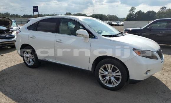 Buy New Lexus RX White Car in Badagry in Lagos State Buy New Lexus RX White Car in Badagry in Lagos State