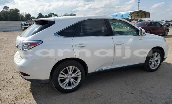 Buy New Lexus RX White Car in Badagry in Lagos State Buy New Lexus RX White Car in Badagry in Lagos State