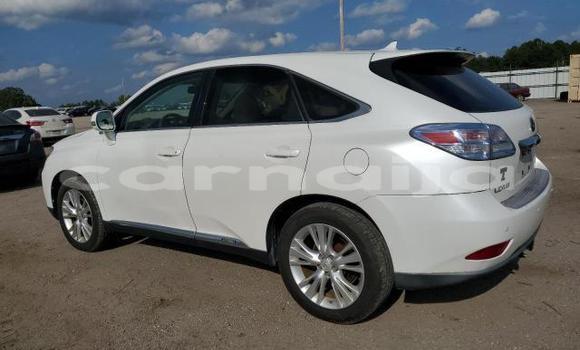 Buy New Lexus RX White Car in Badagry in Lagos State Buy New Lexus RX White Car in Badagry in Lagos State