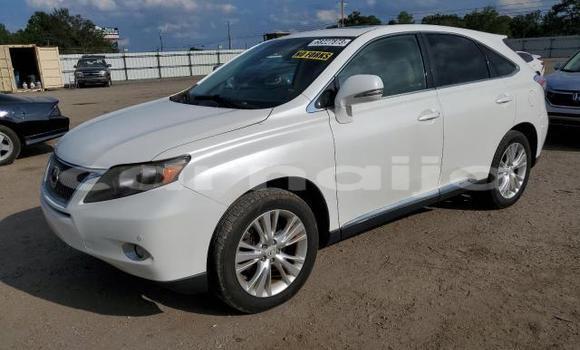 Buy New Lexus RX White Car in Badagry in Lagos State Buy New Lexus RX White Car in Badagry in Lagos State